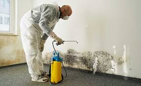 Best Water Damage & Mold Remediation  in Blue Hills, CT